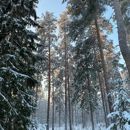 Kalajaervi Seinajoki