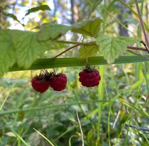 Appartement Kalajaervi Seinäjoki